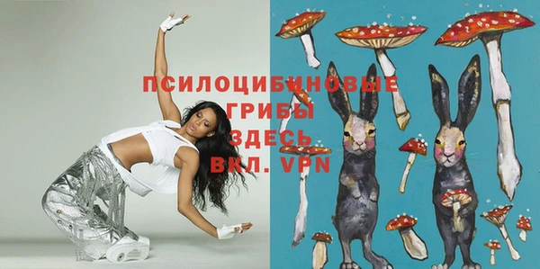 мескалин Богданович