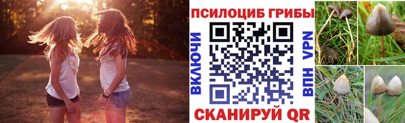 Псилоцибиновые грибы прущие грибы  купить наркотик  Юхнов 
